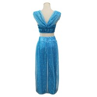 Märchenprinzessin Charakter TV- & Film-Kostüm Exotischer Blauer Anzug Halloween Cosplay Outfit für Erwachsene