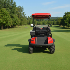 आसान पैंतरेबाज़ी हल्के शांत ऑपरेशन लाल 2 सीटर इलेक्ट्रिक गोल्फ बुगी निजी उद्यान अवकाश विला के लिए - Product Image 3