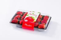 Kotak Kemasan Buah Berengsel PET Grosir untuk Stroberi, Blueberry, Raspberry dengan Label Kustom