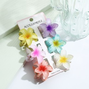 กิ๊บติดผมพลาสติกใสสีพื้นแบบด้าน 6 ชิ้น/ชุด แฟชั่นสำหรับทุกเพศ ลายดอกไม้ฮาวาย - Product Image 6