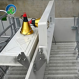 Attrezzatura per Allevamento Suino Stile Europeo Gabbia per Scrofe e Cassa da Parto in Plastica e Acciaio Resistente Nuova o Usata per Suini - Product Image 2