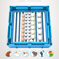 Incubateur à œufs de petite taille, capacité de 200 œufs, prix en Ouganda