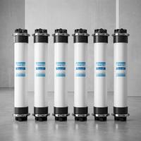 Membrane d'ultrafiltration UF en PVC Bilan de 10 pouces, colonne de fibres creuses de 250 mm pour le traitement de l'eau industrielle, 50 m²