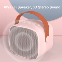 2025 P2 avec microphone Fabricant audio Vente en gros Mini haut-parleur portable pour machine de karaoké