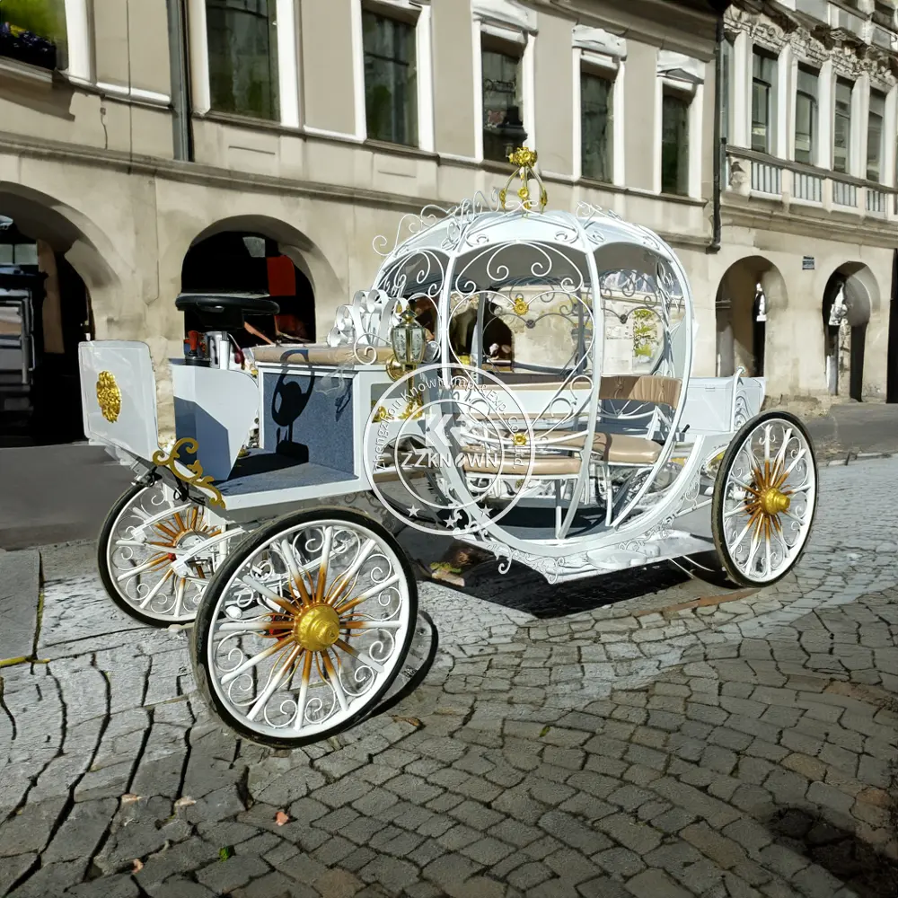 Voiture à chevaux électrique de luxe OEM, citrouille, voiture tirée par des chevaux royaux, transport spécial, wagon tiré par des chevaux de mariage