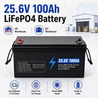 Batterie LiFePO4 24V 100Ah, pack de batteries au phosphate de fer et de lithium 25.6V 2560Wh pour moteur de pêche à la traîne, marine, camping-car, en stock