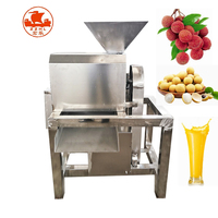 Commerciële Mangopulper/Vruchtenpulp Sap Maken Machine/Mango Kers Passievrucht Puree Extractor Machine