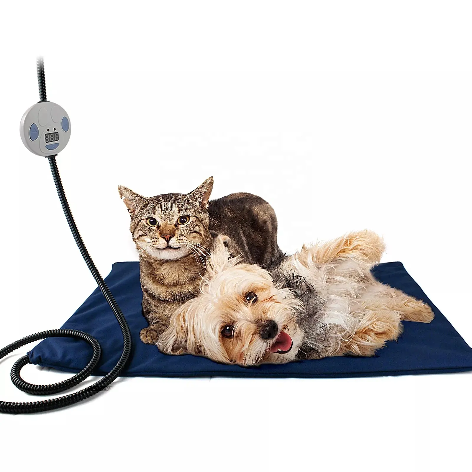 Cane elettrico gatto impermeabile riscaldamento Pad caldo tappetino per animali domestici Pad di riscaldamento per gli animali domestici