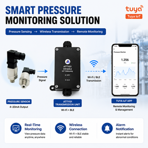 Passerelle IoT intelligente Tuya Wi-Fi BLE en acier inoxydable PT208 avec capteur 4-20mA pour le contrôle hydraulique des pompes à eau - Product Image 1