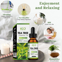 Huile Essentielle d'Arbre à Thé OEM Distillée à la Vapeur, Huile Naturelle Pure pour Diffuseur, Soins de la Peau, Soins des Cheveux, Huiles Essentielles Biologiques OEM ODM