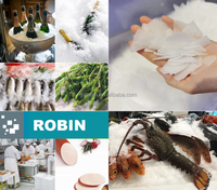 Machine à glace en flocons Robin 12 tonnes par jour, qualité alimentaire SS304, contrôle automatique PLC, refroidissement par air pour la viande et les fruits de mer