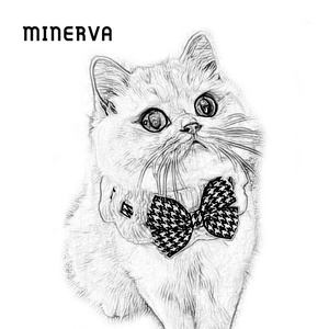 Miverva ปลอก<span class=keywords><strong>คอ</strong></span>สุนัขแมวสัตว์เลี้ยงแบบ<span class=keywords><strong>ถัก</strong></span>ลายผิวรูปดอกไม้ออกแบบได้ตามต้องการ - Product Image 2