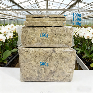 Potos 실내 식물 성장 양서류 탱크 습도 제어를 위한 공장 공급 도매 저염 이끼 - Product Image 1