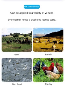 Lúa Mì đậu phụ năm hạt nghiền Máy cho cá có động cơ động cơ lõi ngô cỏ linh tinh tùy chọn hạt - Product Image 4