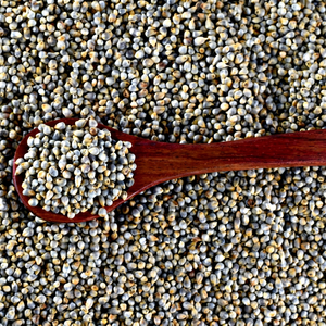 Bajra indien propre et frais - Product Image 1
