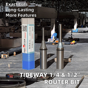 Tideway الصناعات ، شانك 2 Flutes TCT مطحنة نهاية مستقيمة ، مثقاب توجيه الأعمال الخشبية لأثاث ODM OEM أحادي 8 - Product Image 2