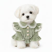 Robe personnalisée pour chien en velours doux avec col en dentelle, boutons perlés, garniture dorée, style péplum, vêtements pour animaux de compagnie, tenue à volants pour chiots et chats, vente en gros OEM