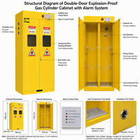 Armoire à gaz antidéflagrante à double porte, mobilier de laboratoire avec système d'alarme, stockage sécurisé pour laboratoire universitaire