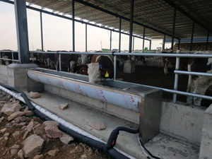 Nuevo bebedero automático de animales de acero inoxidable de gran capacidad <span class=keywords><strong>para</strong></span> bebedero de agua potable <span class=keywords><strong>para</strong></span> ganado y <span class=keywords><strong>caballos</strong></span> - Product Image 6