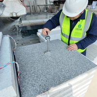 Carreaux de sol carrés modernes sablée, épaissis, à prix ultra-bas direct usine, pour usage en parc, écologiques, durables, robustes, garantie 5 ans