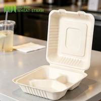 Contenant alimentaire jetable en bagasse de fibre naturelle non blanchie, type coquille, 8x8 pouces, résistant à la chaleur
