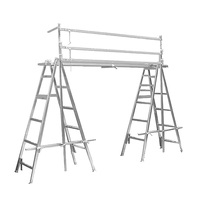 Échafaudages lumineux en aluminium A + A avec planche de 300mm, taille réglable, rampe de table, systèmes de tréteaux réglables