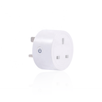 Bilihondim UK Mini Matter Over Thread Plug Dimmer 200W Contrôle Domotique Intelligent 1 Canal Télécommande Sans Fil Sortie 1A