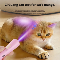 Mainan Kucing Tongkat Interaktif Isi Ulang Otomatis untuk Latihan, Desain Kartun Modern Sederhana Nan Menarik, Pengisian Daya USB-C Ramah Lingkungan