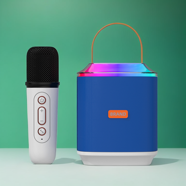 Handheld Plastic Cloth Karaoke Speaker with Wireless Microphone RGB LED Color Light Portable Outdoor Party Speaker