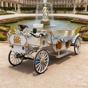 Popular Carruaje Turístico de Tres Filas, Carruaje Eléctrico, Carruaje Multipersona, Limusina Blanca, Carruaje de Caballos <span class=keywords><strong>para</strong></span> Bodas - Product Image 4