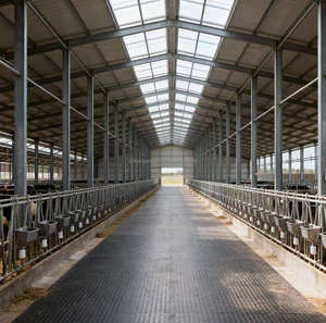 औद्योगिक आधुनिक डिजाइन प्रीफैब्रिकेटेड स्टील संरचना प्रजनन गोदामों पोल्ट्री हाउस पिग फार्महाउस सुअर चिकन हाउस - Product Image 2