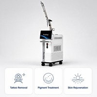 Machine à laser PicoKing Pico pour l'élimination des pigments, laser picoseconde 730ps, CE
