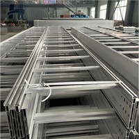 Produsen Kabel Tray Tipe Tangga – Kabel Tray Galvanis Celup Panas & Aluminium untuk Penggunaan Industri Berat