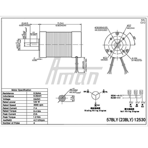 Kit moteur CC sans balais 24V pour trottinette électrique et chariot élévateur, aimant permanent, 3000 tr/min, 125W, 7A, couple de 0,4 Nm - Product Image 6