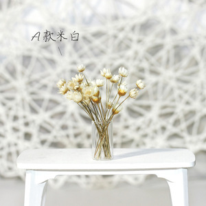 Accesorio en Miniatura para Casa de Muñecas, Ramo de Flores Secas, Flor Estrella Brasileña Fresca en una Botella de Vidrio K515 - Product Image 6