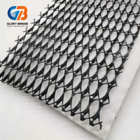 Filet de drainage composite géotextile 3D en plastique HDPE pour l'utilisation dans les tunnels de drainage et les barrages