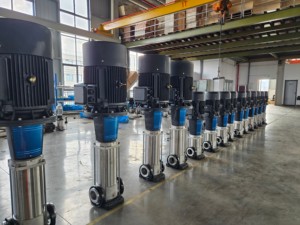 CDL CDLF Vertical Multistage High <b>Pump</b> Vertical Multistage Booster <b>Pump</b> Station 2 <b>Pumps</b> - Product Image 6