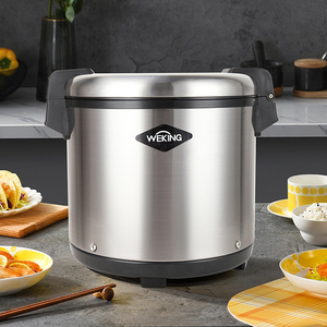 Scaldavivande Elettrico da 20L ad Alta Capacità con Pentola Interna Antiaderente, Misurino e Corpo in Acciaio Inox per Uso Commerciale e Domestico - Product Image 6