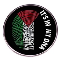 Insignia de Palestina Libertad Bandera de Palestina Detener la guerra Pin Bandera Mapa de la paz mundial Hebilla Esmalte Pin de solapa