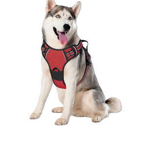 Verstellbares Hochwertiges Oxford Luxus-Designer Hundeleine und Hundegeschirr Set Ohne Ziehen Maßgefertigtes Hundegeschirr - Product Image 6