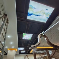 Panel de pared de PVC ZHIHAI, película de techo elástica con luz LED 3D