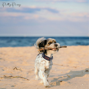 <span class=keywords><strong>Collar</strong></span> ajustable de poliuretano para cachorros, logotipo de color personalizado, rojo, negro, Premium, cuero Pu, <span class=keywords><strong>collar</strong></span> para perros - Product Image 6