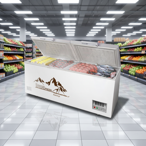Offre Spéciale petit réfrigérateur congélateur porte coulissante ouverte sur le dessus coffre profond horizontal commercial pour les ménages hôtels Source d'alimentation électrique - Product Image 4