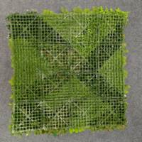 Dinding Tanaman Buatan Plastik, Latar Belakang Dinding Hijau Buatan, Tanaman Dinding Artificial, Ukuran 3.28x3.28 kaki, Tersedia