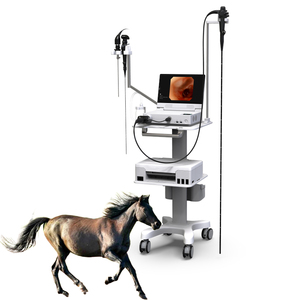 Nova geração veterinária médica flexível endoscópio câmera portátil para cavalo - Product Image 1