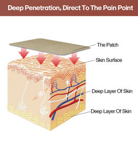 Kustomisasi Herbal lutut Lumbar sendi punggung <span class=keywords><strong>Arthritis</strong></span> otot Patch nyeri - Product Image 4