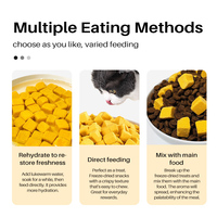 Friandises pour chats en gros, granulés de jaune d'œuf lyophilisés, cubes, friandises d'entraînement pour animaux de compagnie, nourriture pour chats riche en protéines, nourriture nutritive pour chiens, friandises pour chiens