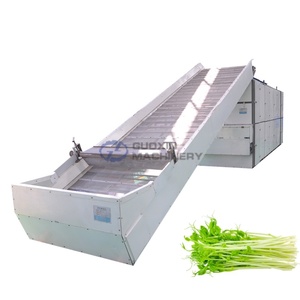 Equipo de Secado de Banda de Malla de Alta Capacidad para Secar Hojas de Frijol Alas, Puntas de Frijol Largo y Brotes de Cowpea - Product Image 1