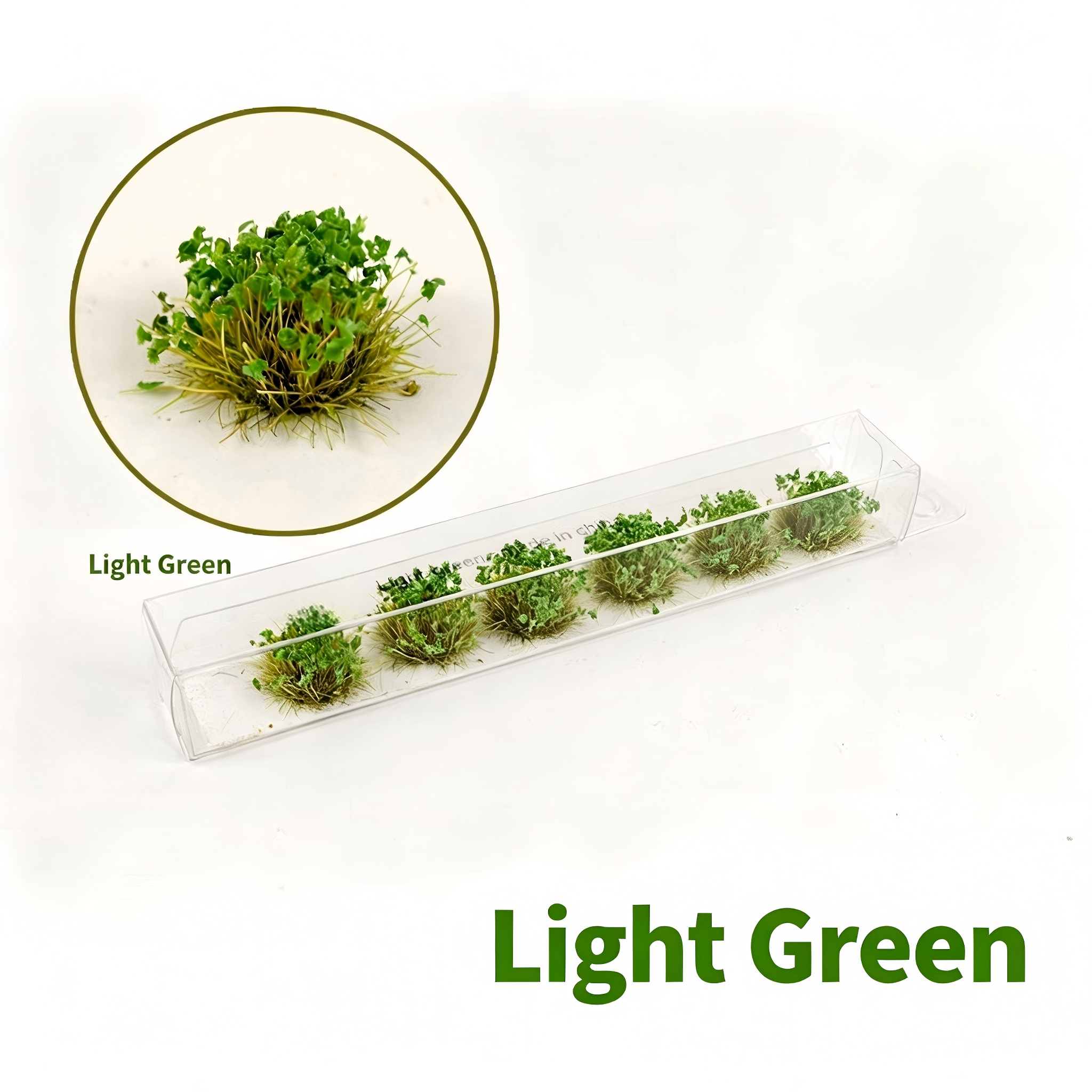 06-Light Green