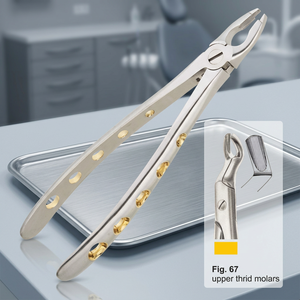 Fórceps de Extracción Manual para Molares Superiores, Instrumentos Dentales de Ortodoncia, Ligeros, de Acero Inoxidable Alemán, Venta al por Mayor - Product Image 3